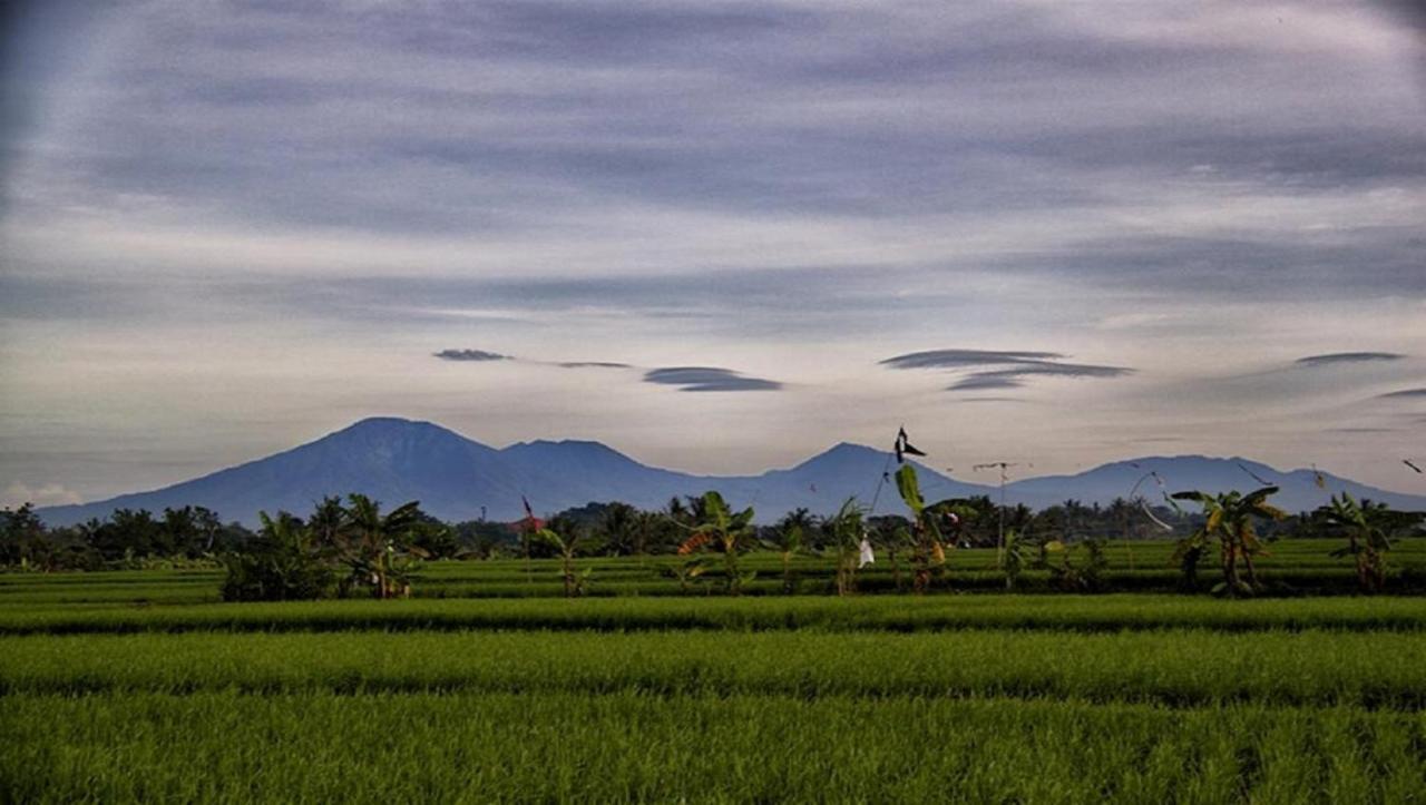 PNB Bali Villas Canggu Esterno foto
